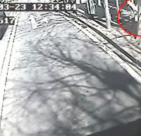 煙頭扔進垃圾桶導致起火，公交車司機見義勇為獲點贊