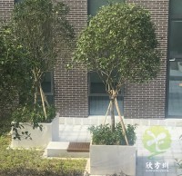 戶外物業(yè)小區(qū)不銹鋼樹池